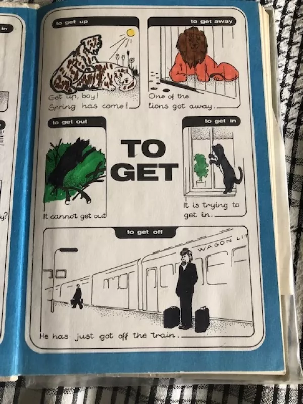 Anglų kalba English 10 (1991) - Alma Stasiulevičiūtė, knyga 3