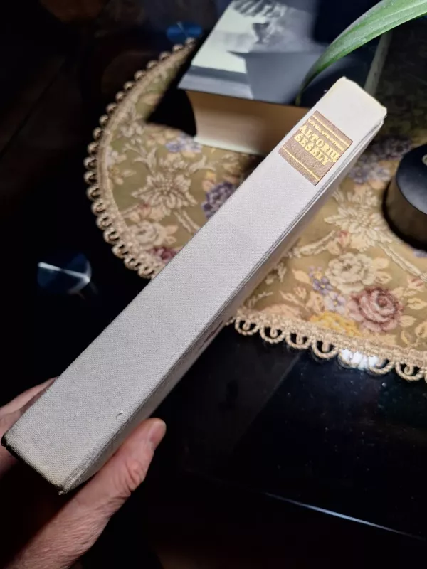 Altorių šešėly - Vincas Mykolaitis-Putinas, knyga 3