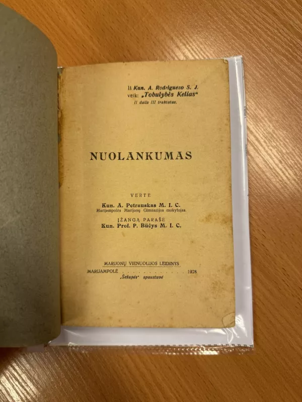 Nuolankumas 1928 m. - A. Rodriguez, knyga 3