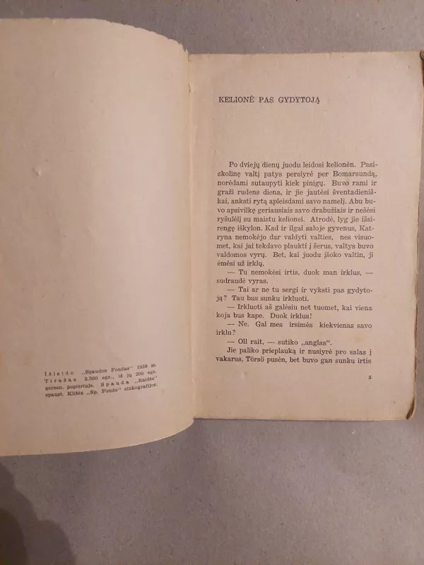 Katryna 2 tomas - Sally Salminen, knyga 4