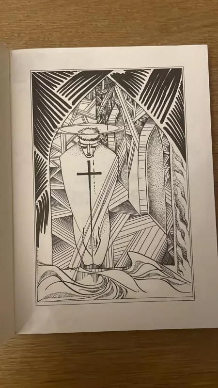 Išbarstysiu vainiklapių sniegą - Teofilė Žemaitytė, knyga 3