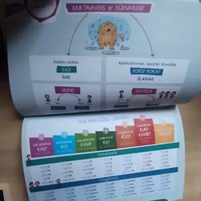 Taisyklių atmintinė 1-4 klasei - Eglė Saikauskienė, knyga 5