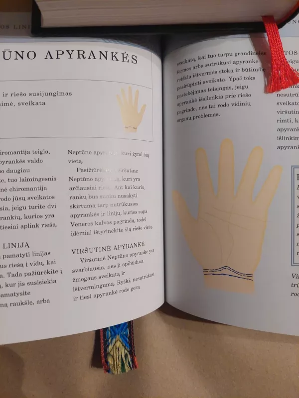 Chiromantijos knyga - Jane Struthers, knyga 4