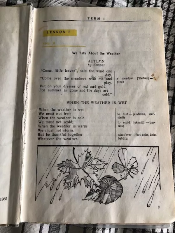 Anglų kalba English 8 (1985) - Alma Stasiulevičiūtė, knyga 4