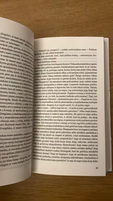 Badas - Knut Hamsun, knyga 4