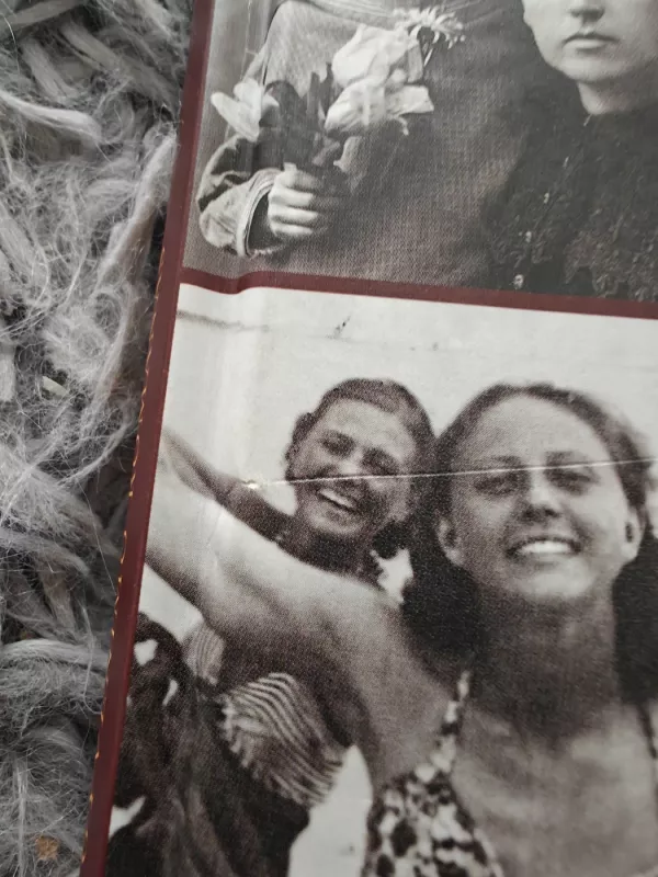 Monikos Mironaitės gyvenimo romanas - Dagnė Jakševičiūtė, knyga 3