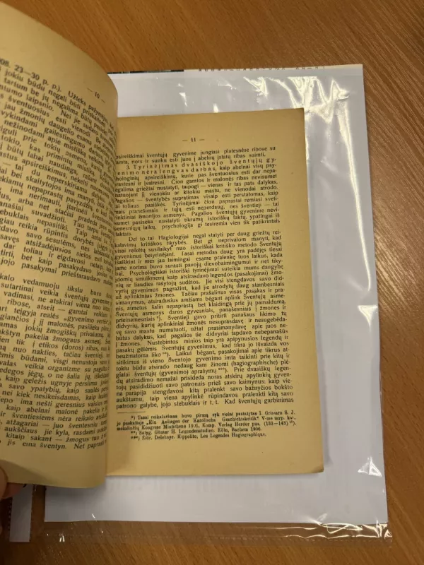 Vidujinis šventųjų gyvenimas - A. Rademacher, knyga 4