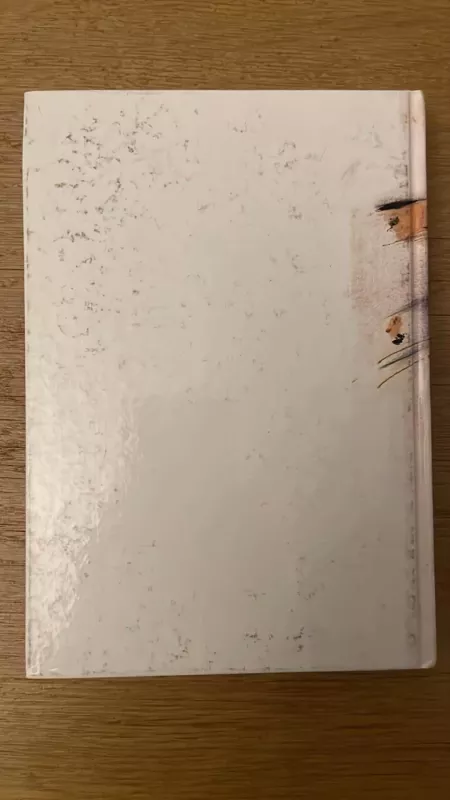 Noriu Jums būti viskuo - Vitas Kaknevičius, knyga 5