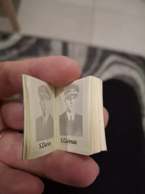 Darius ir Girėnas - Vilius Užtupas, knyga 4