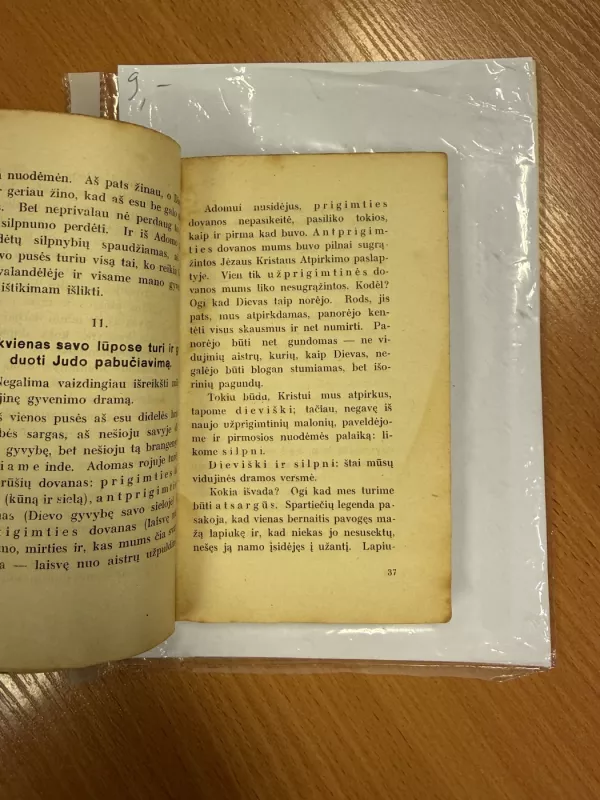 Gyveniman pažvelgus - Plus Raoul, knyga 4