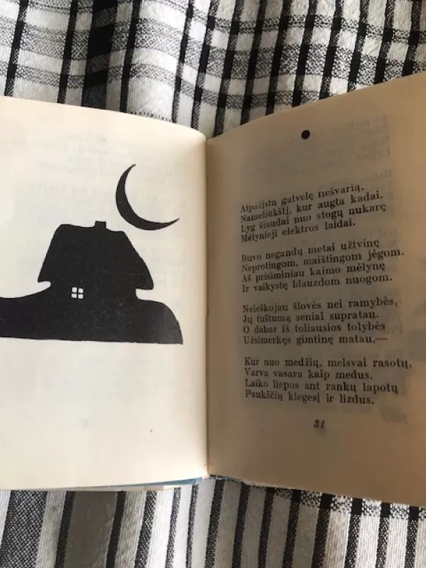 Mėlynas gaisras 1965 (Sergejus Jeseninas) - Sergejus Jeseninas, knyga 5