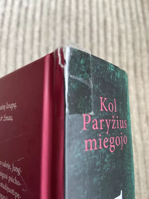 Kol Paryžius miegojo - Druart Ruth, knyga 4