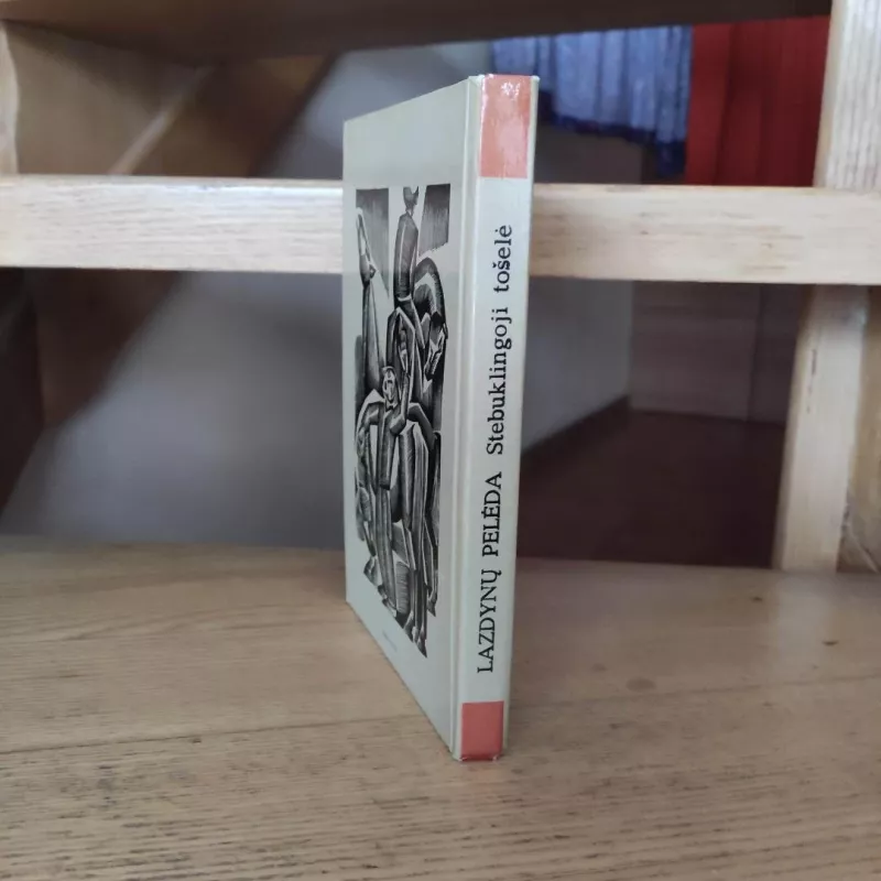 Stebuklingoji tošelė - Lazdynų Pelėda, knyga 4