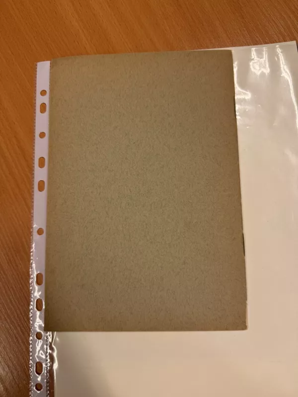 Paskirstomoji teisybė - Mečislovas Reinys, knyga 5