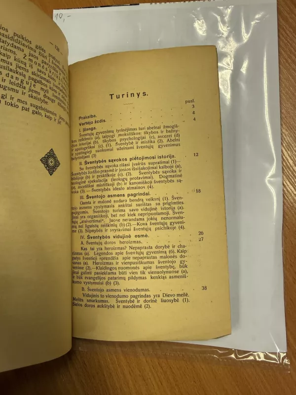 Vidujinis šventųjų gyvenimas - A. Rademacher, knyga 6