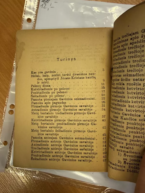 Gavėnios knyga - A. Sabaliauskas, knyga 6