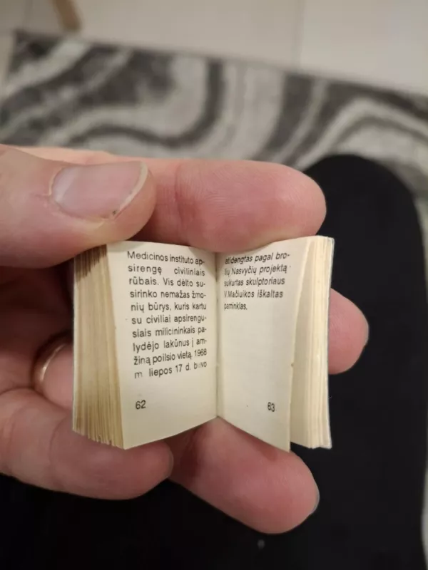 Darius ir Girėnas - Vilius Užtupas, knyga 5