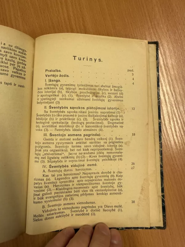 Vidujinis šventųjų gyvenimas - A. Rademacher, knyga 6