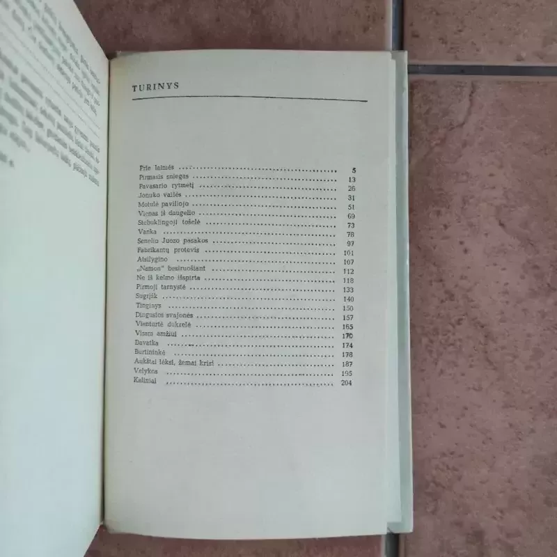 Stebuklingoji tošelė - Lazdynų Pelėda, knyga 6