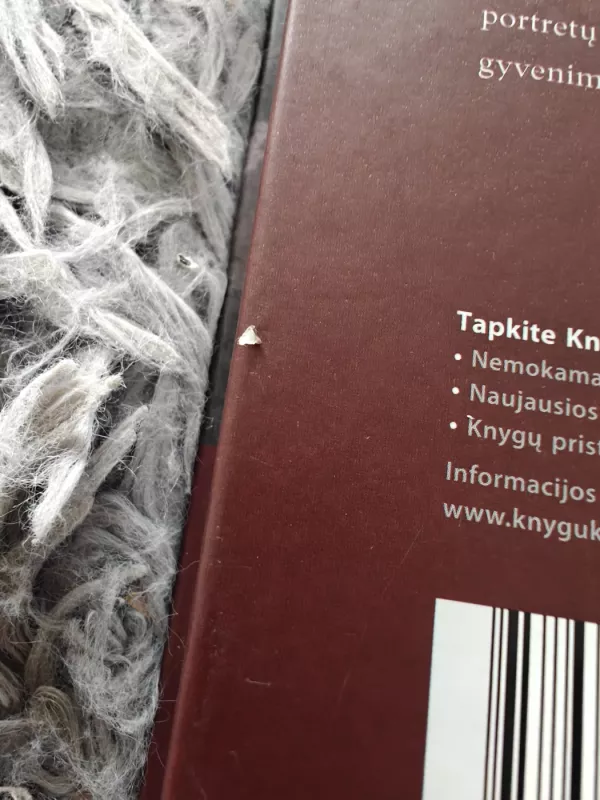 Monikos Mironaitės gyvenimo romanas - Dagnė Jakševičiūtė, knyga 4