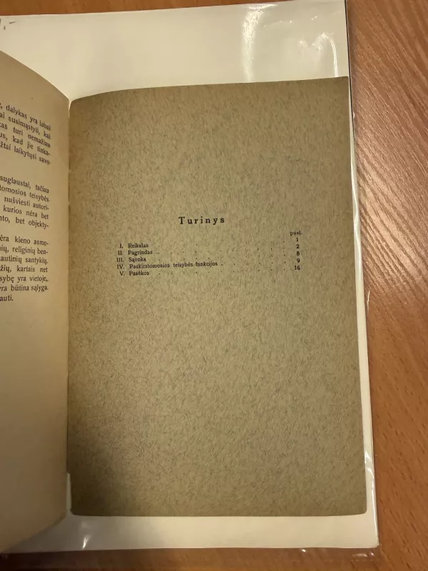 Paskirstomoji teisybė - Mečislovas Reinys, knyga 6