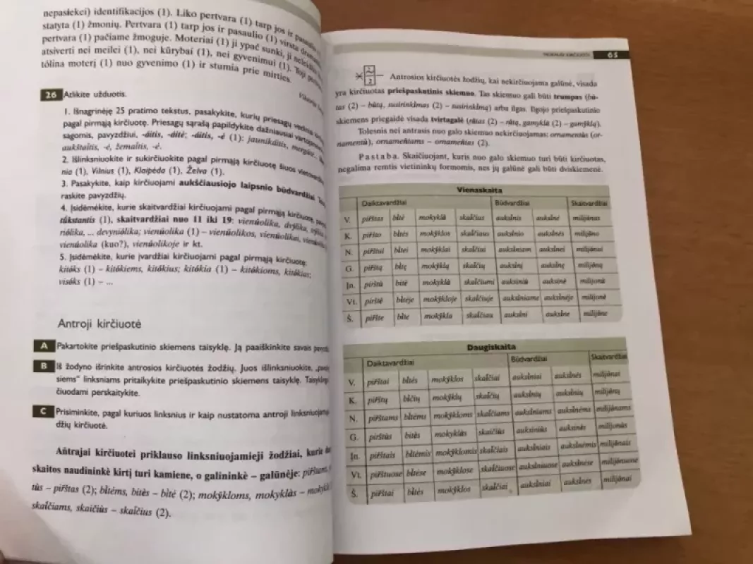 Lietuvių kalba 9 klasei - B. Dobrovolskis, R.  Koženiauskienė, D.  Mikulėnienė, knyga 6