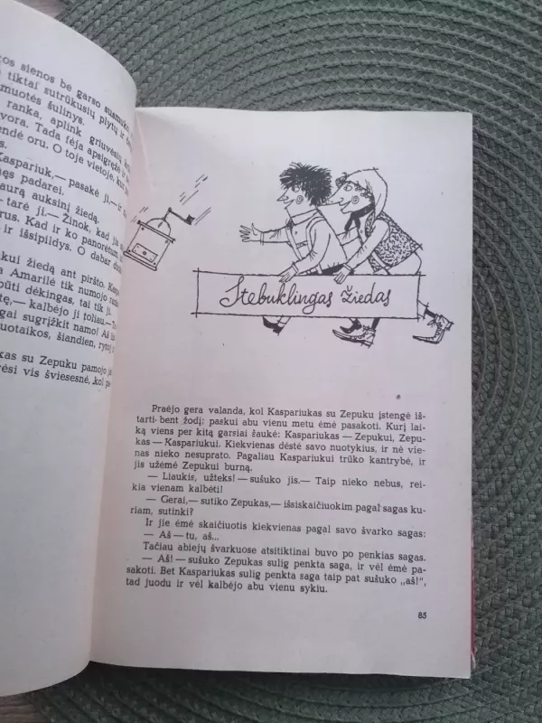 Plėšikas Hocenplocas - Otfrydas Proisleris, knyga 4