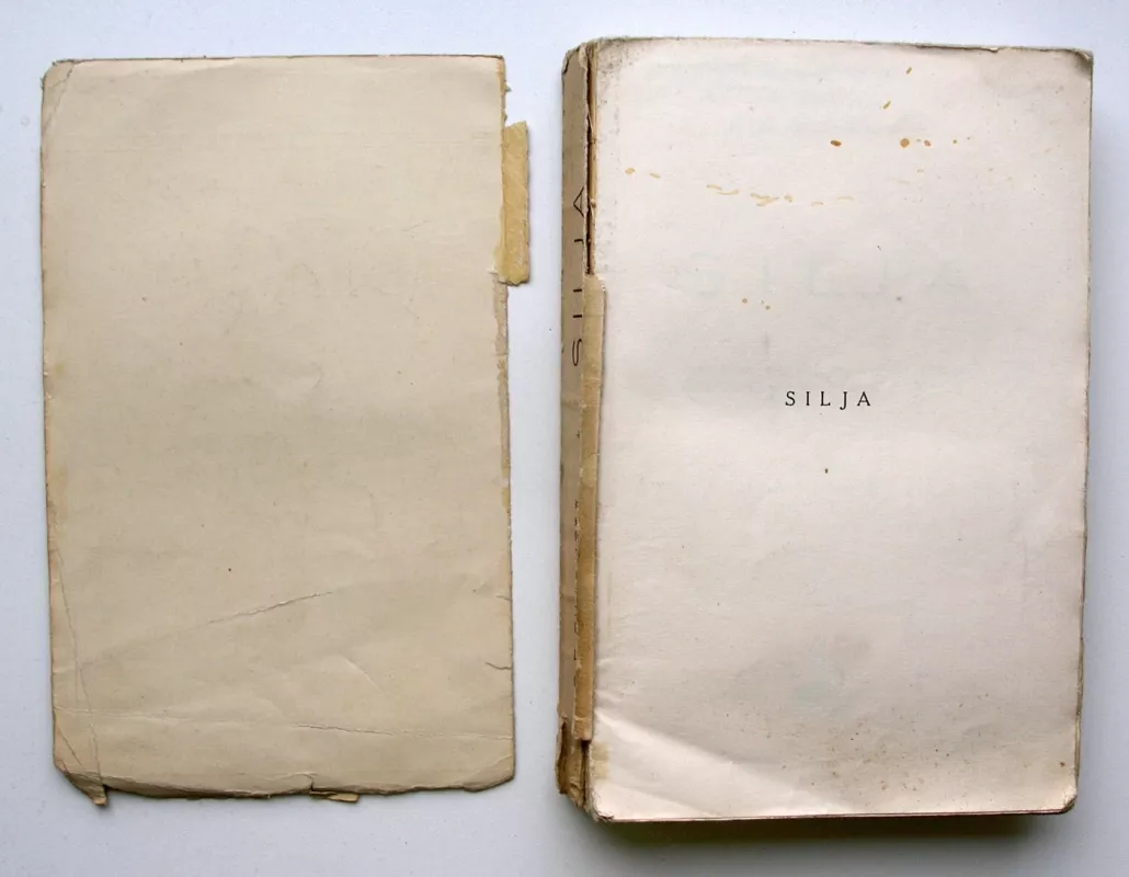 Silja - F. E. Sillanpaa, knyga 3