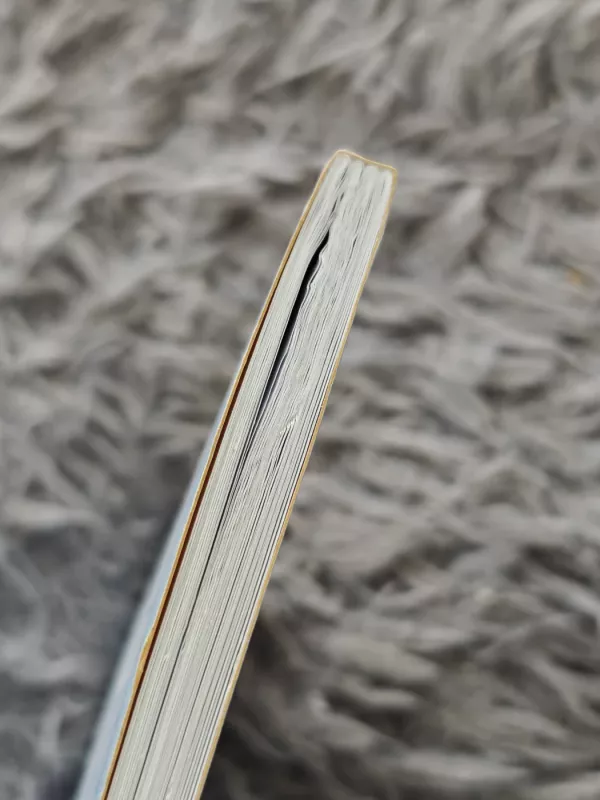 Sąmoningo kvėpavimo spalvos - Lina Rudaitienė, knyga 4