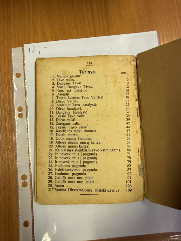 Tėve mūsų Gegužės mėnesiui - A. Sabaliauskas, knyga 6