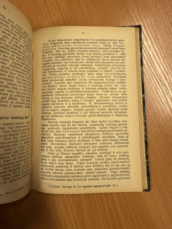 Vidujinis šventųjų gyvenimas - A. Rademacher, knyga 5