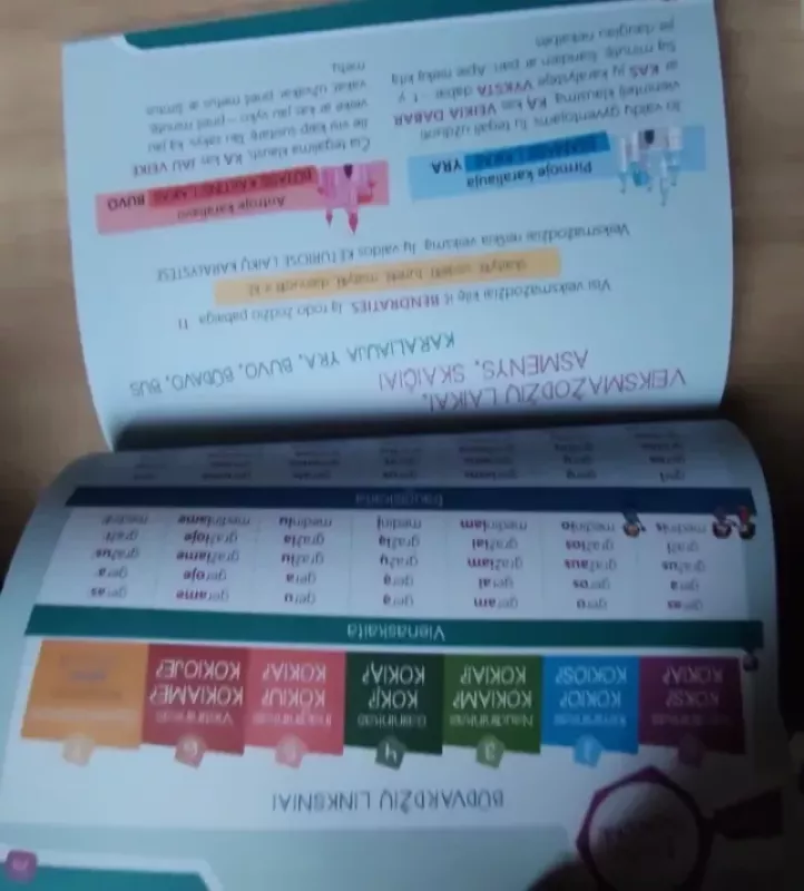 Taisyklių atmintinė 1-4 klasei - Eglė Saikauskienė, knyga 6