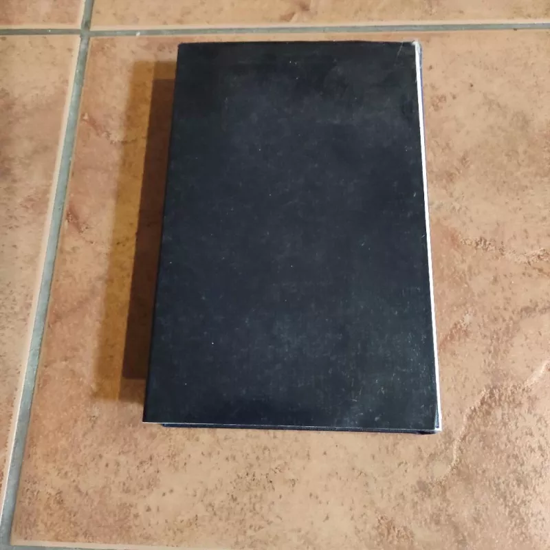 Vincas Mykolaitis-Putinas. Raštai I tomas - Vincas Mykolaitis-Putinas, knyga 3