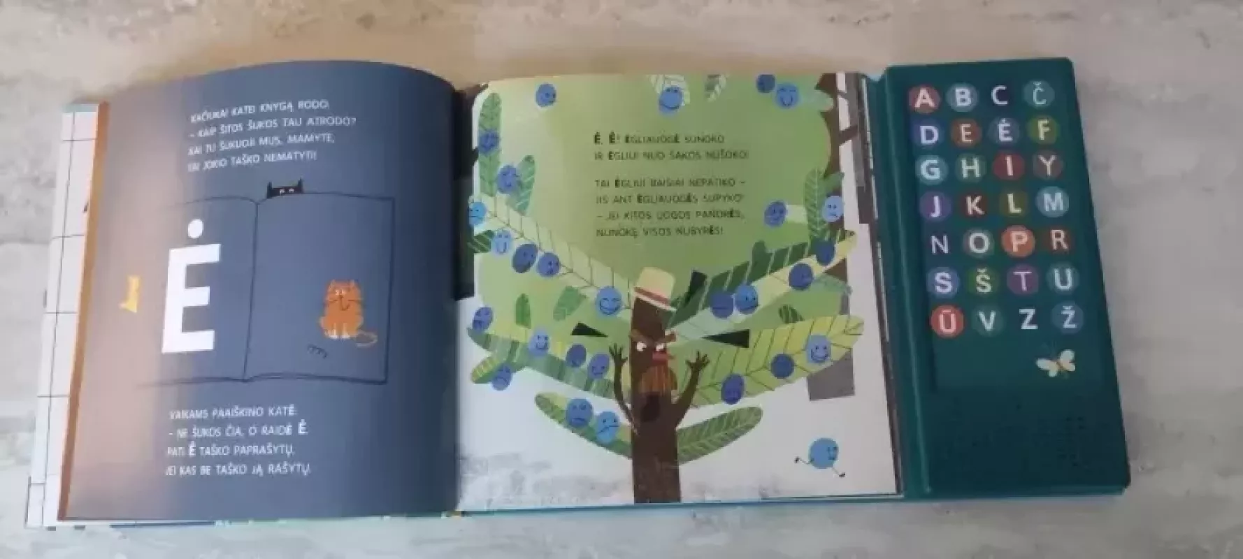 Raidžių namučiai - Ramutė Skučaitė, knyga 4