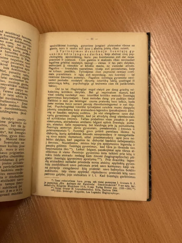 Vidujinis šventųjų gyvenimas - A. Rademacher, knyga 4