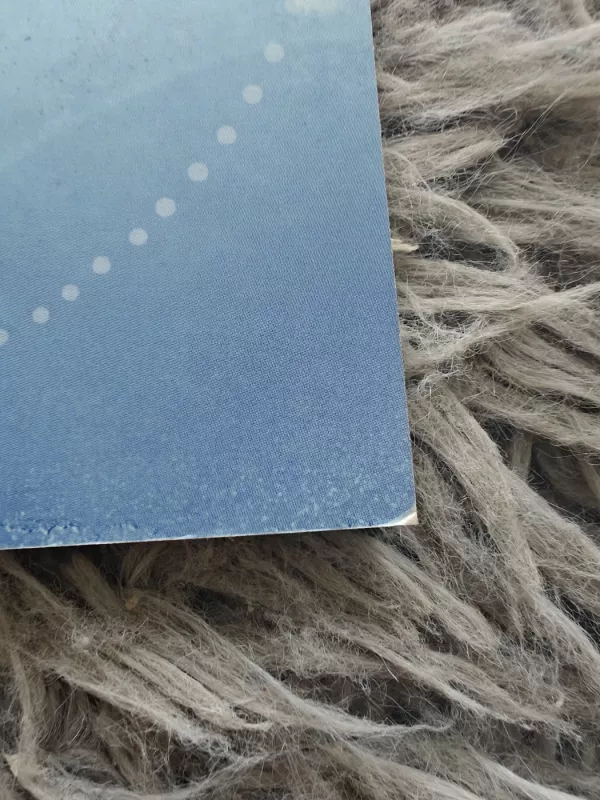 Sąmoningo kvėpavimo spalvos - Lina Rudaitienė, knyga 3