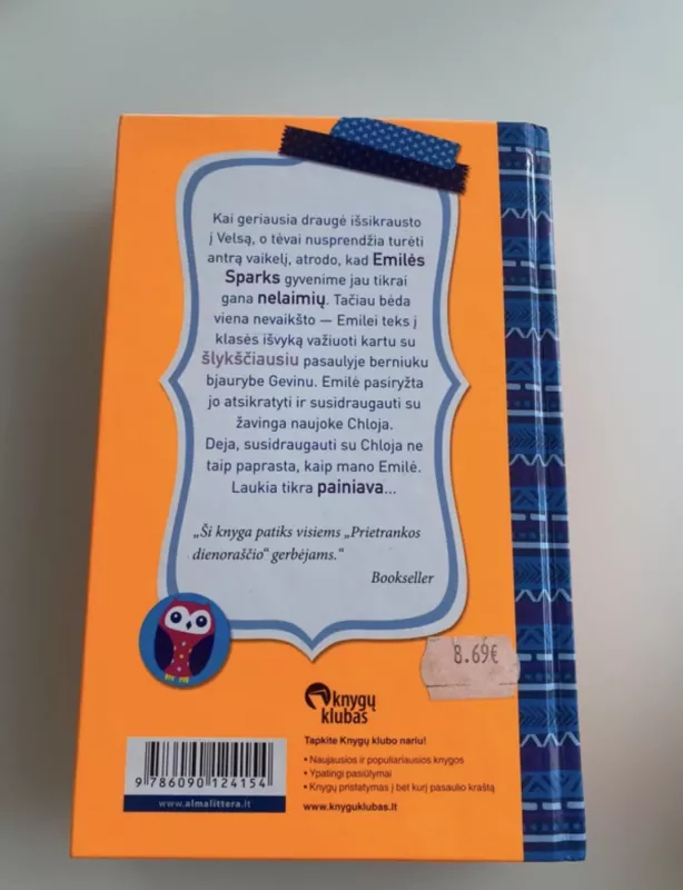 Emilė Sparks ir ne itin nusisekusi draugystė - Ruth Fitzgerald, knyga 3