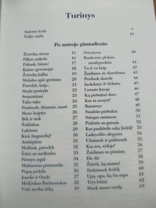 Mažylio lavinimas nuo dvejų iki trejų metų - Silberg Jackie, knyga 4
