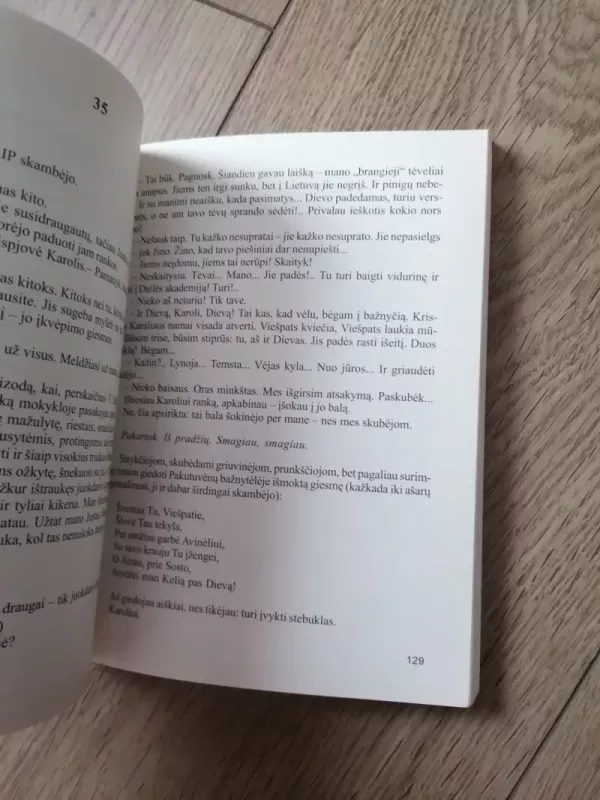 Šauksmas - Rita Latvėnaitė-Kairienė, knyga 4