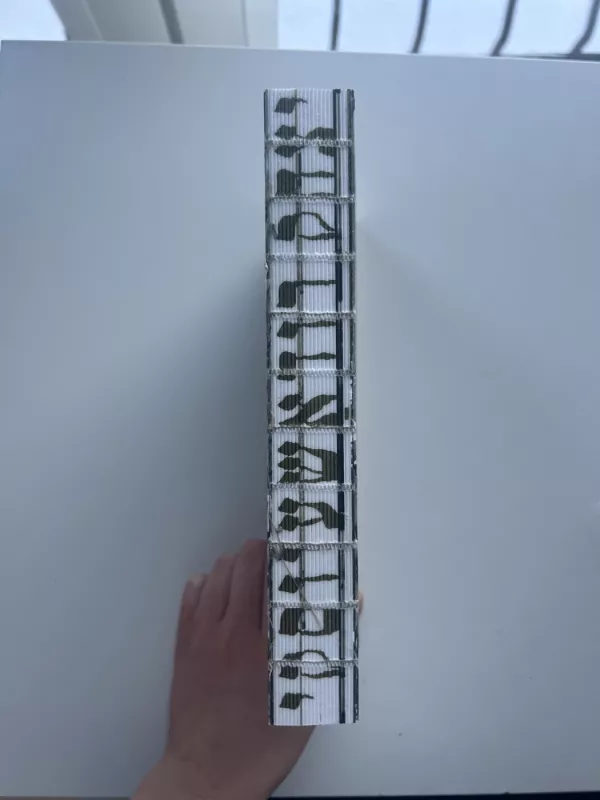 Icchokas Rudaševskis. Vilniaus geto dienoraštis, 1941-1943. Togbuch fun Vilner geto, 1941-1943 - Mindaugas Kvietkauskas, knyga 4