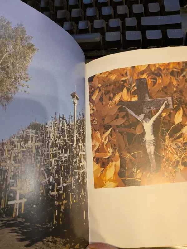 Kryžių kalnas - Aleksandras Ostašenkovas, knyga 3