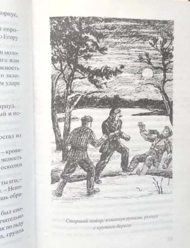 Šnipų romanas - Borisas Akuninas, knyga 5