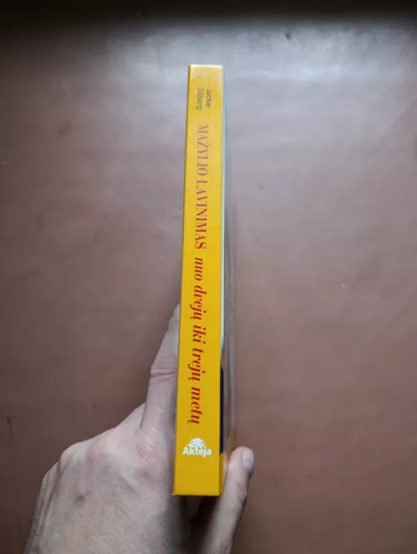 Mažylio lavinimas nuo dvejų iki trejų metų - Silberg Jackie, knyga 3