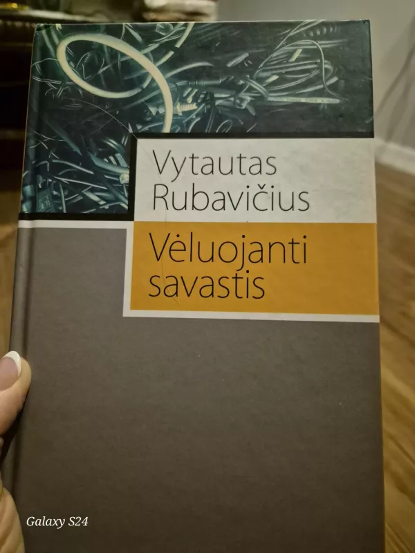 Vėluojanti savastis - Vytautas Rubavičius, knyga 2