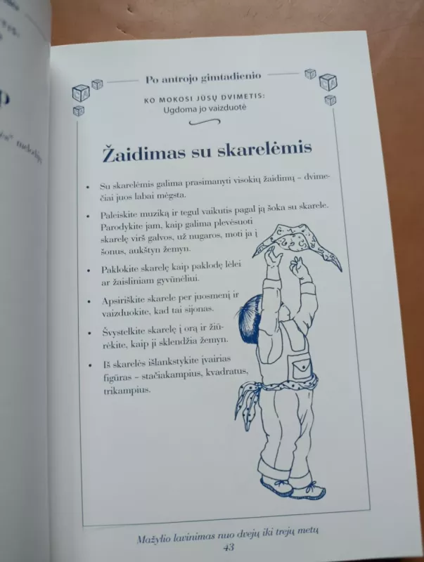 Mažylio lavinimas nuo dvejų iki trejų metų - Silberg Jackie, knyga 5