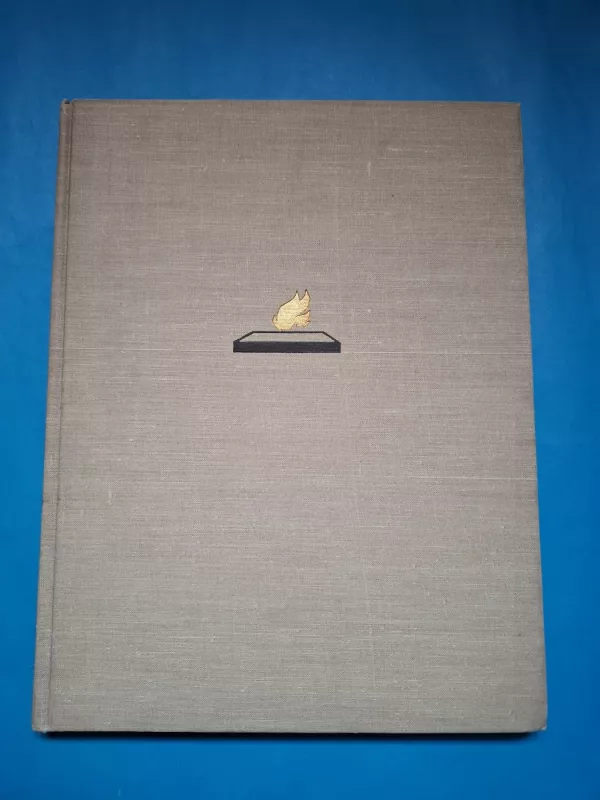 Bralu kapi - Autorių Kolektyvas, knyga 2