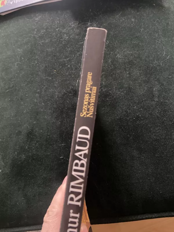 Sezonas Pragare. Nušvitimai - Arthur Rimbaud, knyga 3