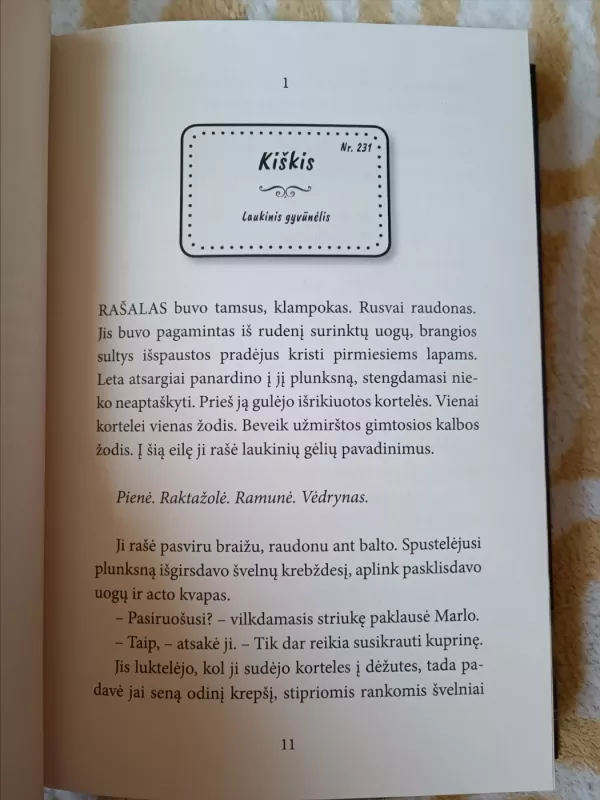 Paskutinis žodis - Patricia Forde, knyga 5