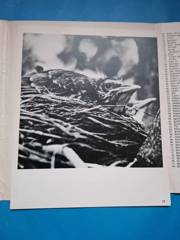 Žvėrių takais - Julius Vaicekauskas, knyga 5