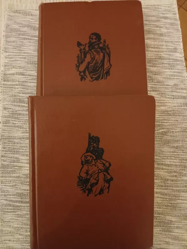 Išmoningasis Idalgas Don Kichotas iš La Mančos (I-II tomai) - Migelis Servantesas, knyga 2